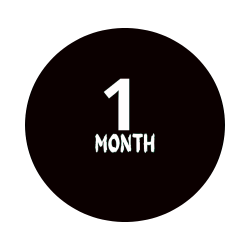 1 månad